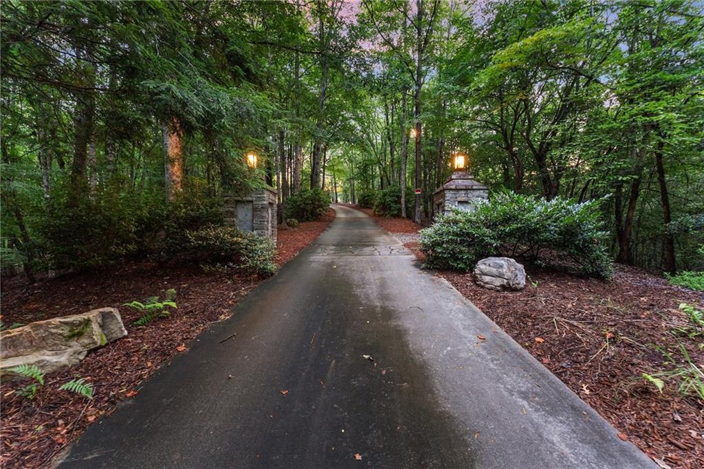 77 Old River Road Dahlonega, GA 30533 - Photo 7 of 98 a view of a street with trees and flowers