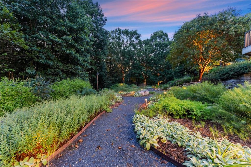 77 Old River Road Dahlonega, GA 30533 - Photo 87 of 98 a view of a garden with a pathway