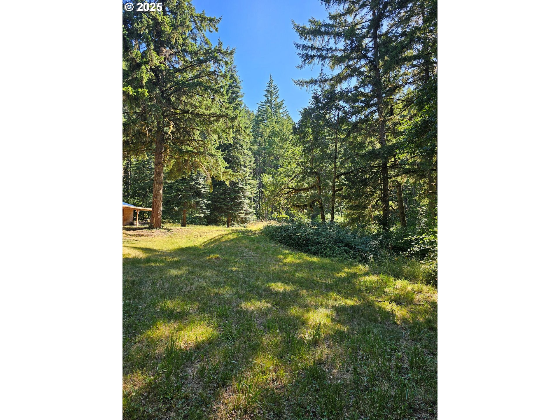 82168 Hanna Road Dexter, OR 97431 - Photo 11 of 40 Barn