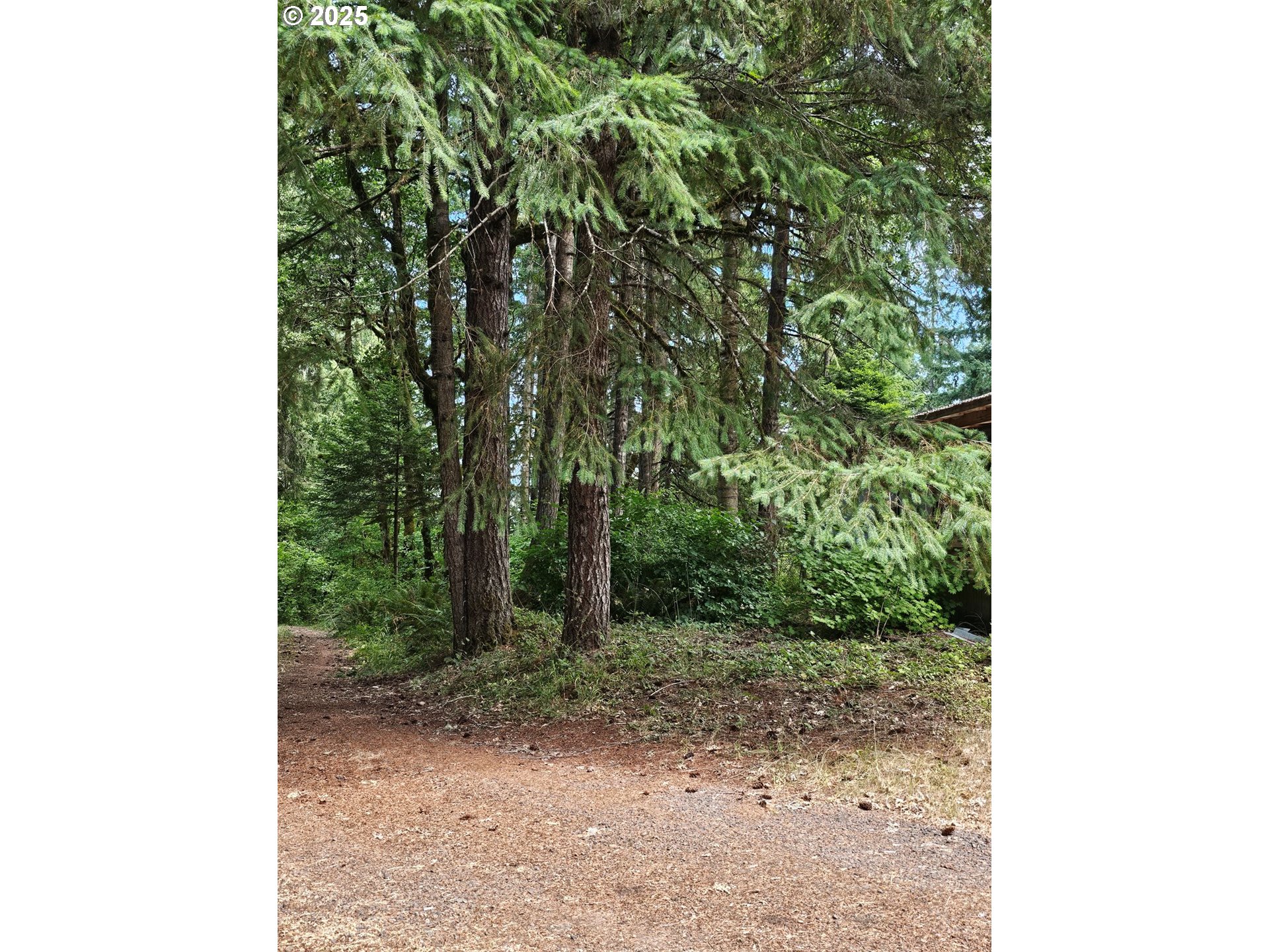 82168 Hanna Road Dexter, OR 97431 - Photo 13 of 40