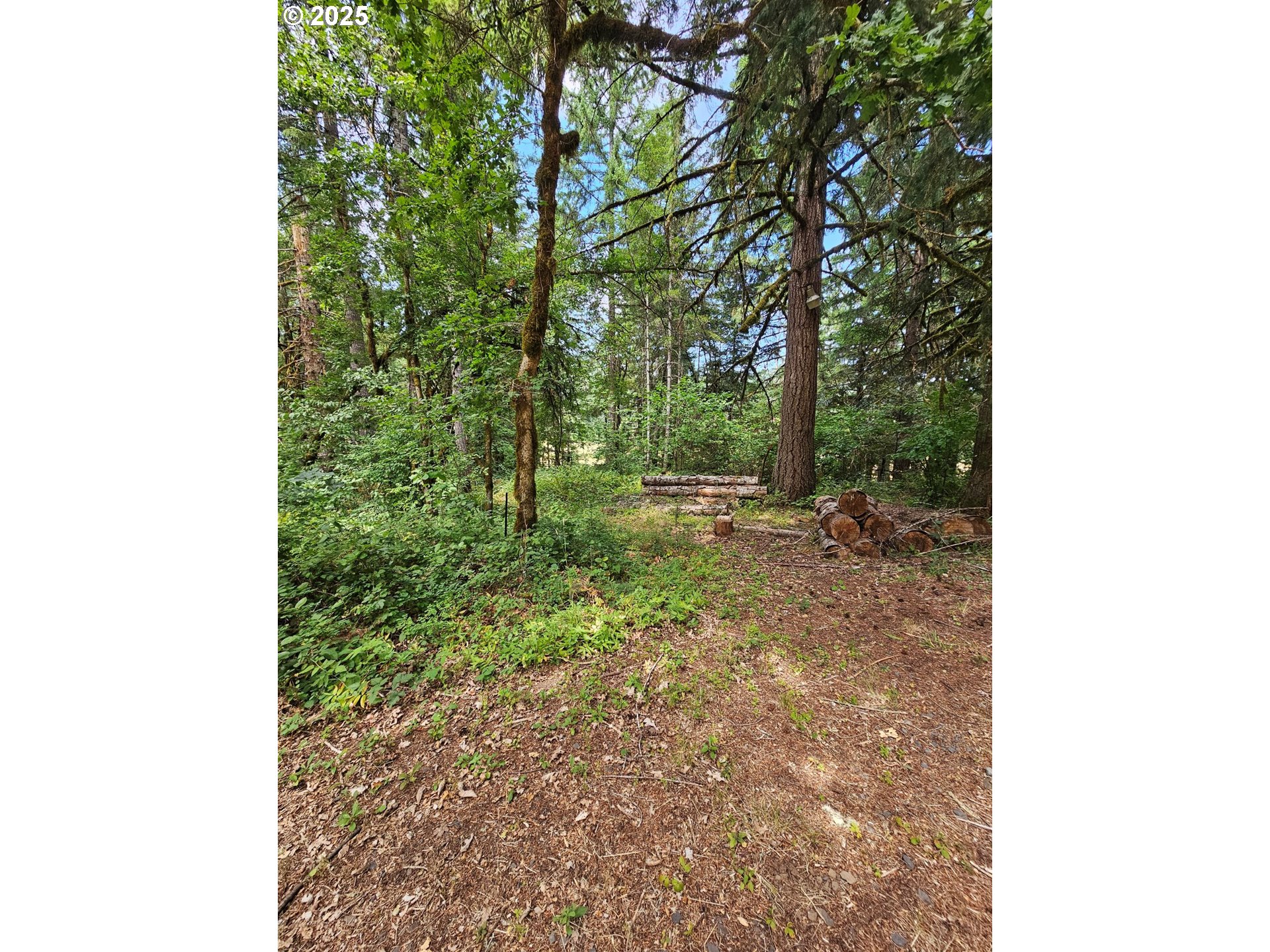 82168 Hanna Road Dexter, OR 97431 - Photo 16 of 40