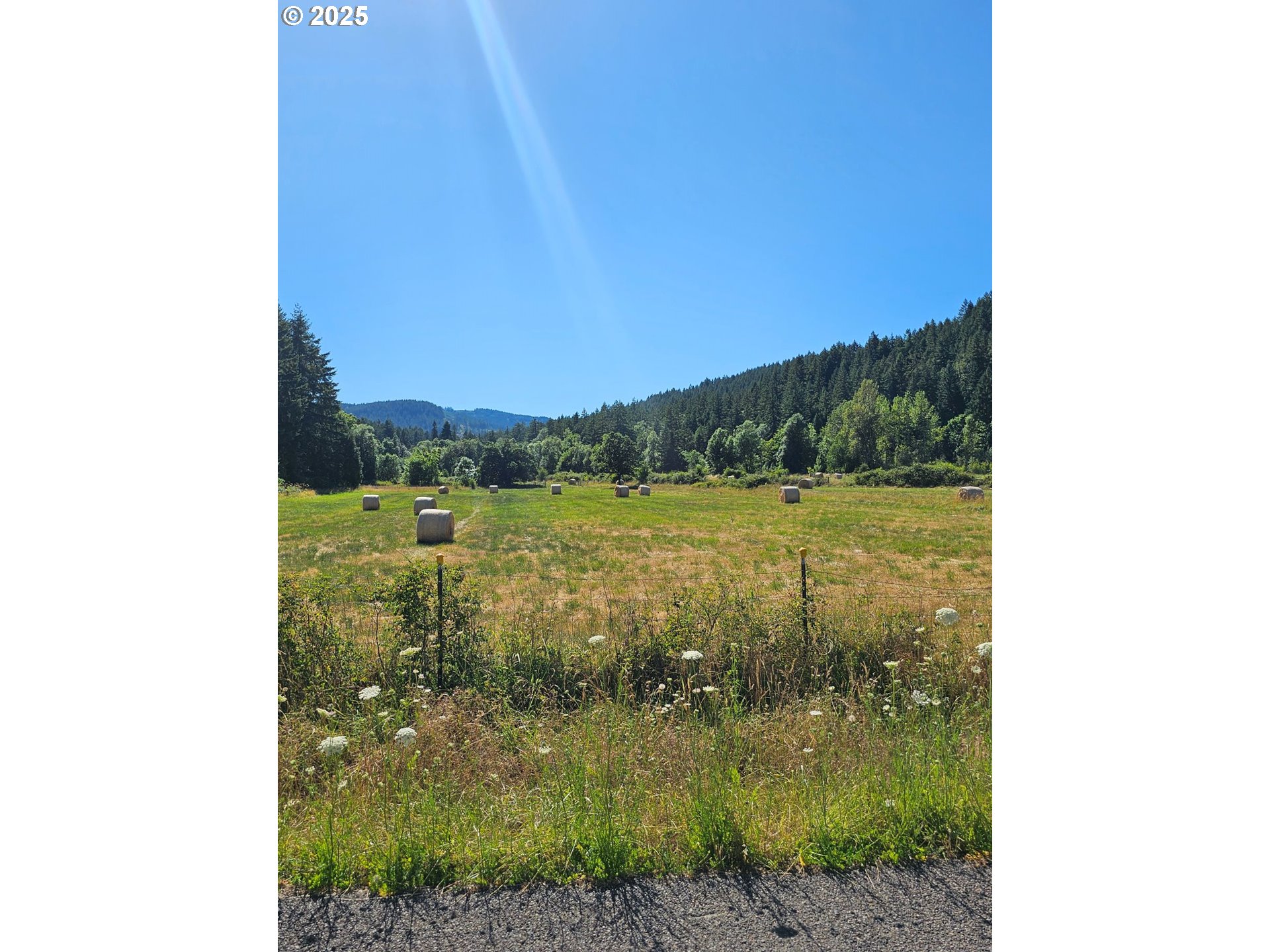 82168 Hanna Road Dexter, OR 97431 - Photo 18 of 40