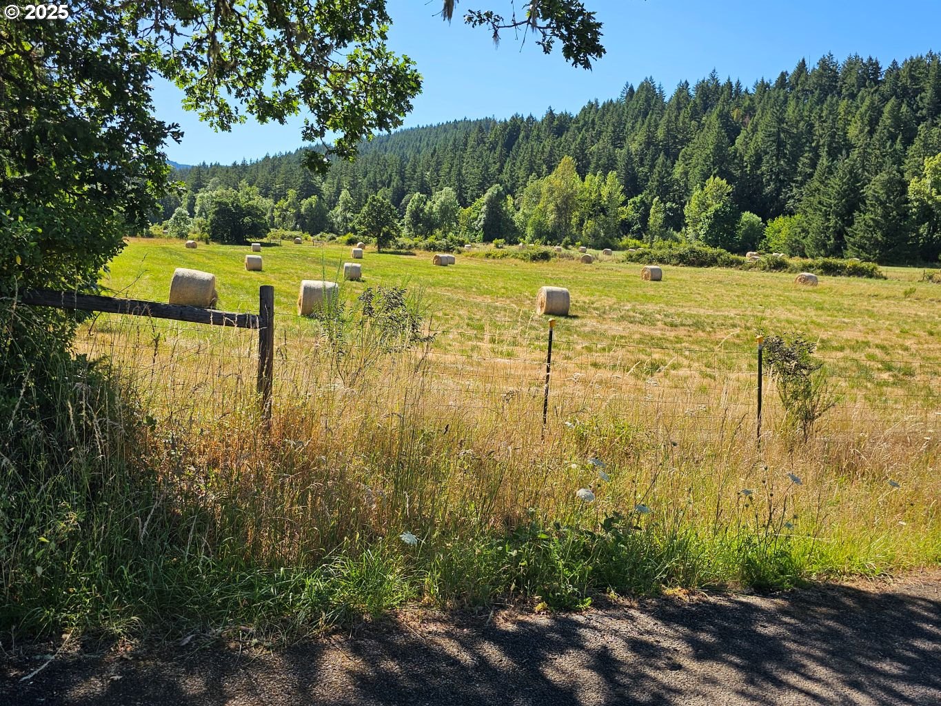 82168 Hanna Road Dexter, OR 97431 - Photo 19 of 40