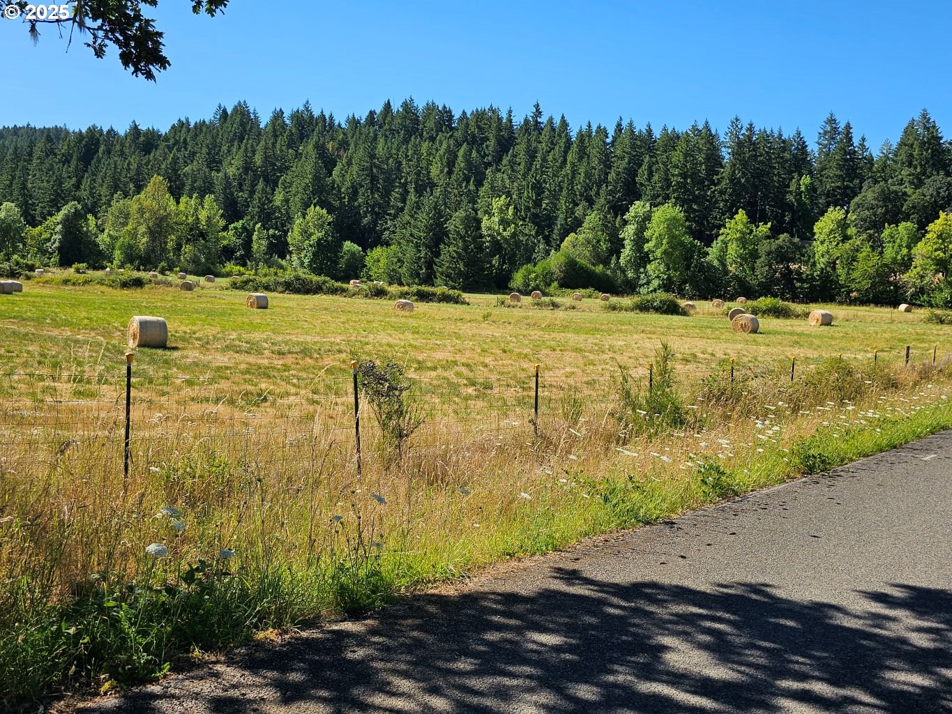 82168 Hanna Road Dexter, OR 97431 - Photo 20 of 40