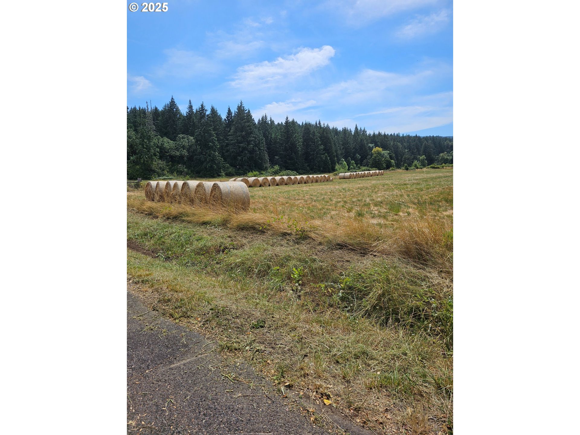 82168 Hanna Road Dexter, OR 97431 - Photo 21 of 40