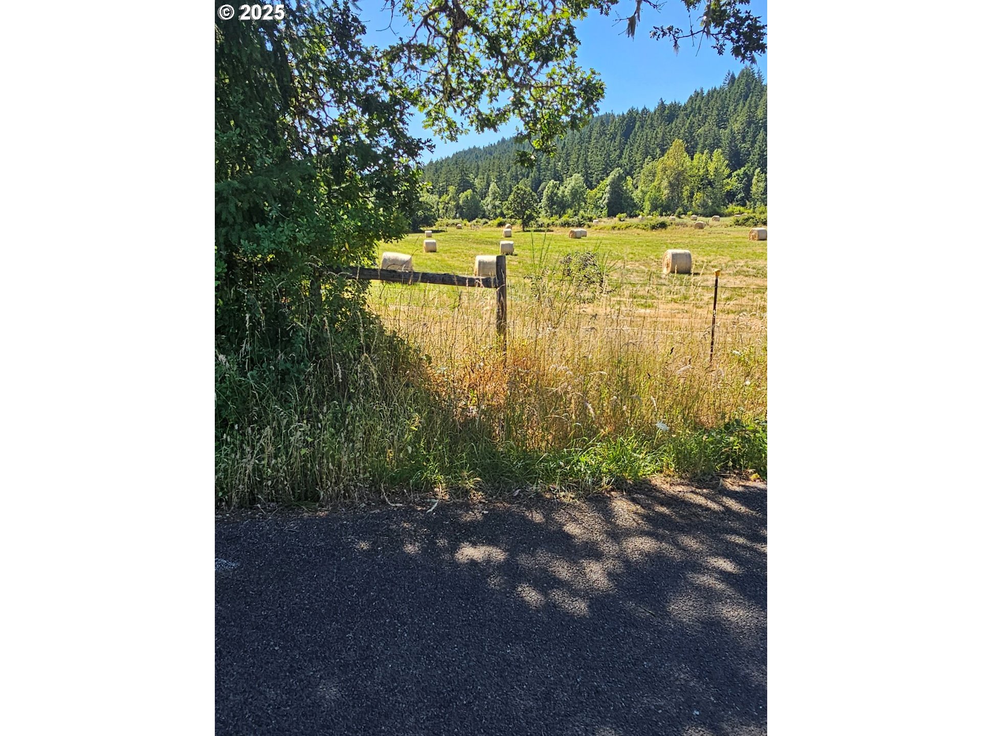 82168 Hanna Road Dexter, OR 97431 - Photo 22 of 40