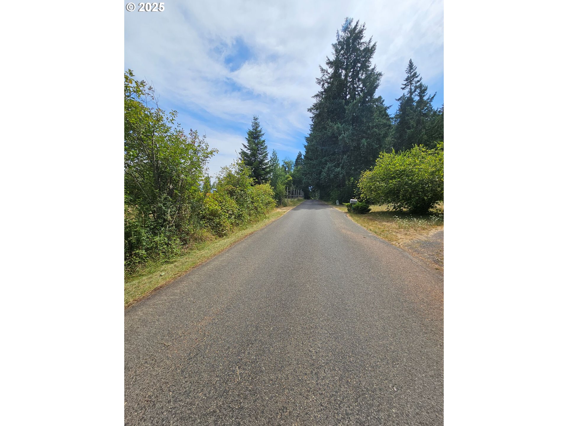 82168 Hanna Road Dexter, OR 97431 - Photo 25 of 40