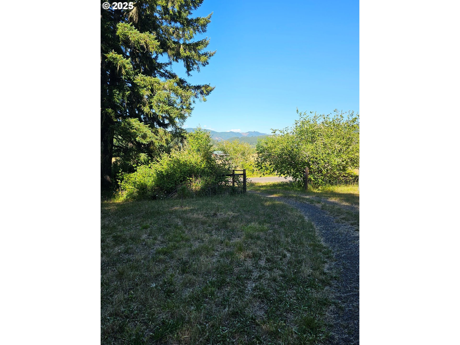 82168 Hanna Road Dexter, OR 97431 - Photo 26 of 40