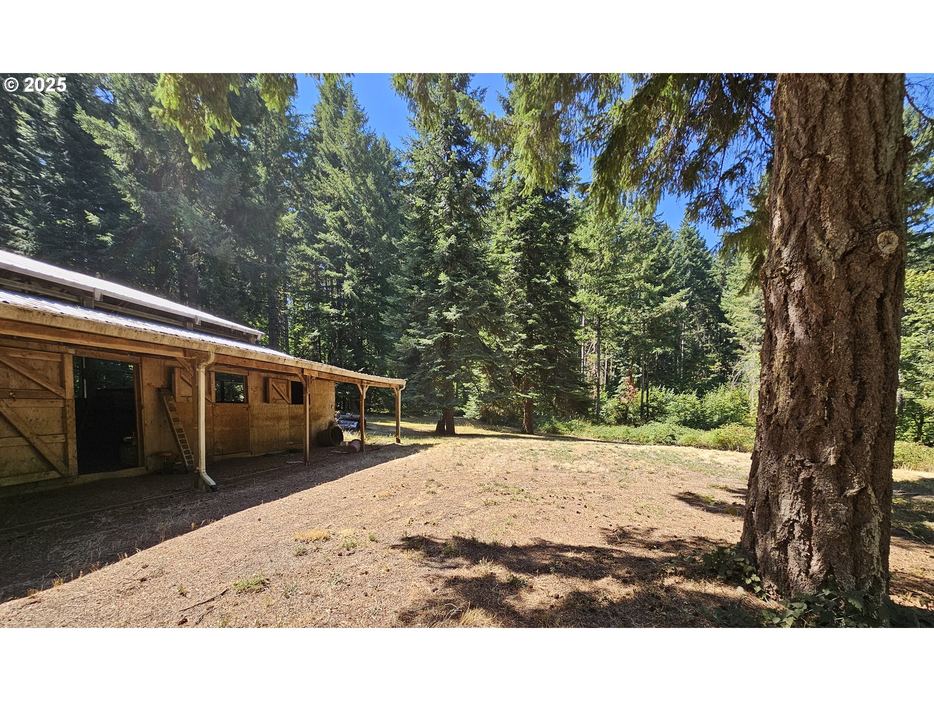 82168 Hanna Road Dexter, OR 97431 - Photo 32 of 40