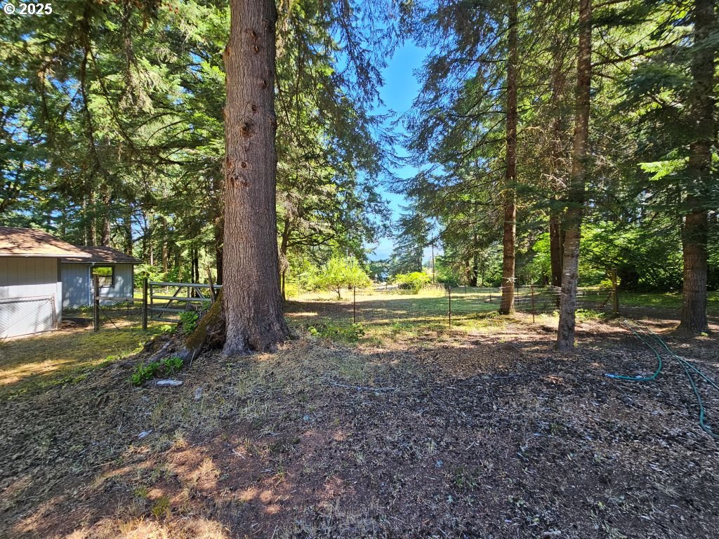 82168 Hanna Road Dexter, OR 97431 - Photo 34 of 40 Driveway