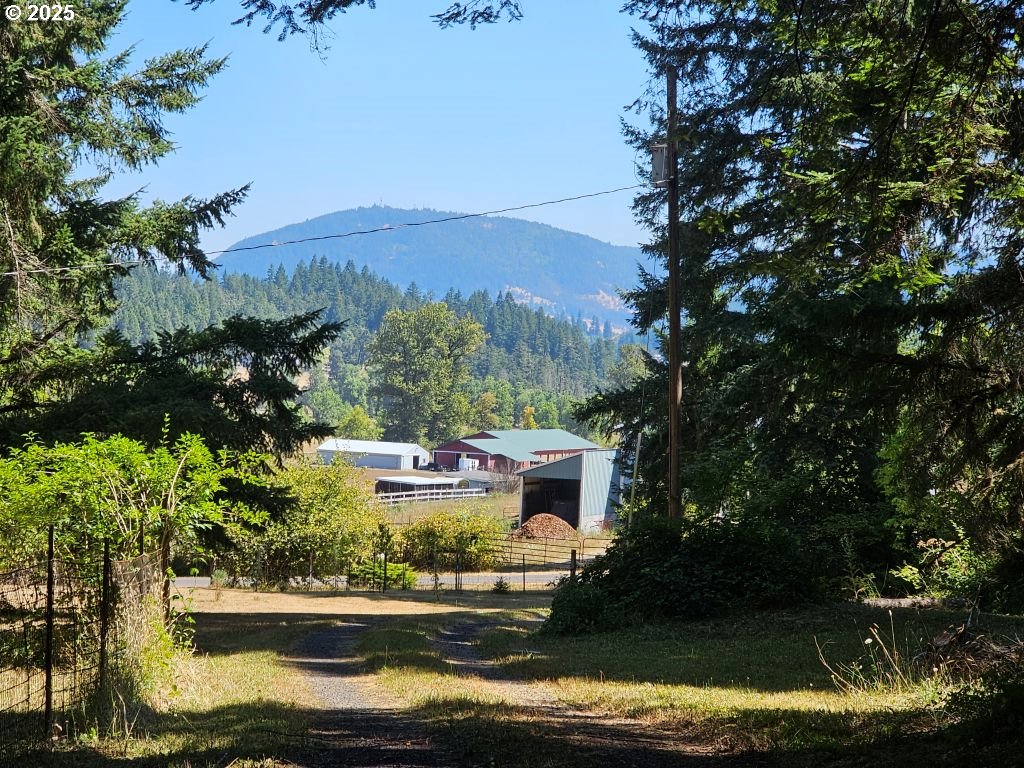 82168 Hanna Road Dexter, OR 97431 - Photo 35 of 40