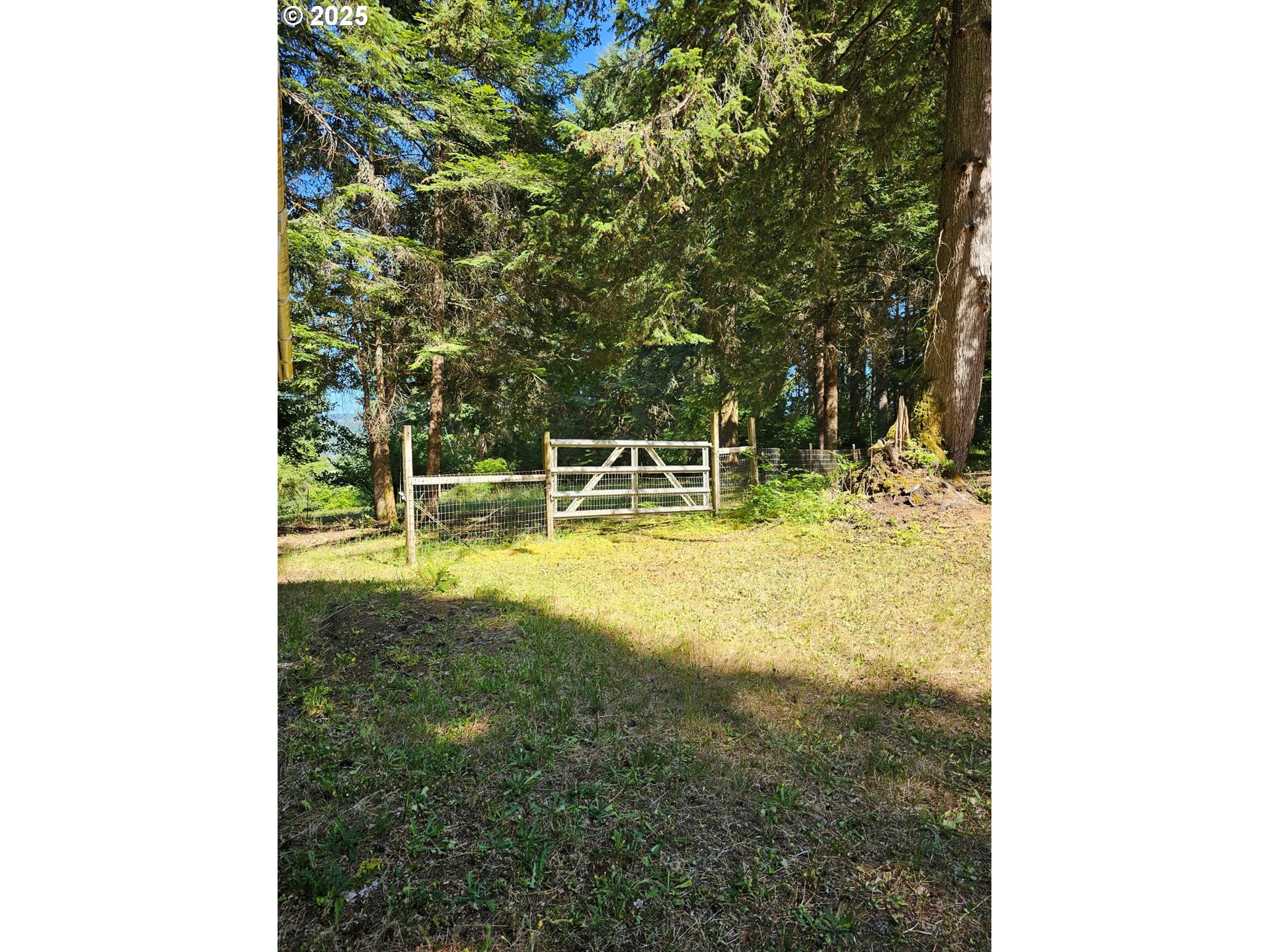 82168 Hanna Road Dexter, OR 97431 - Photo 10 of 40