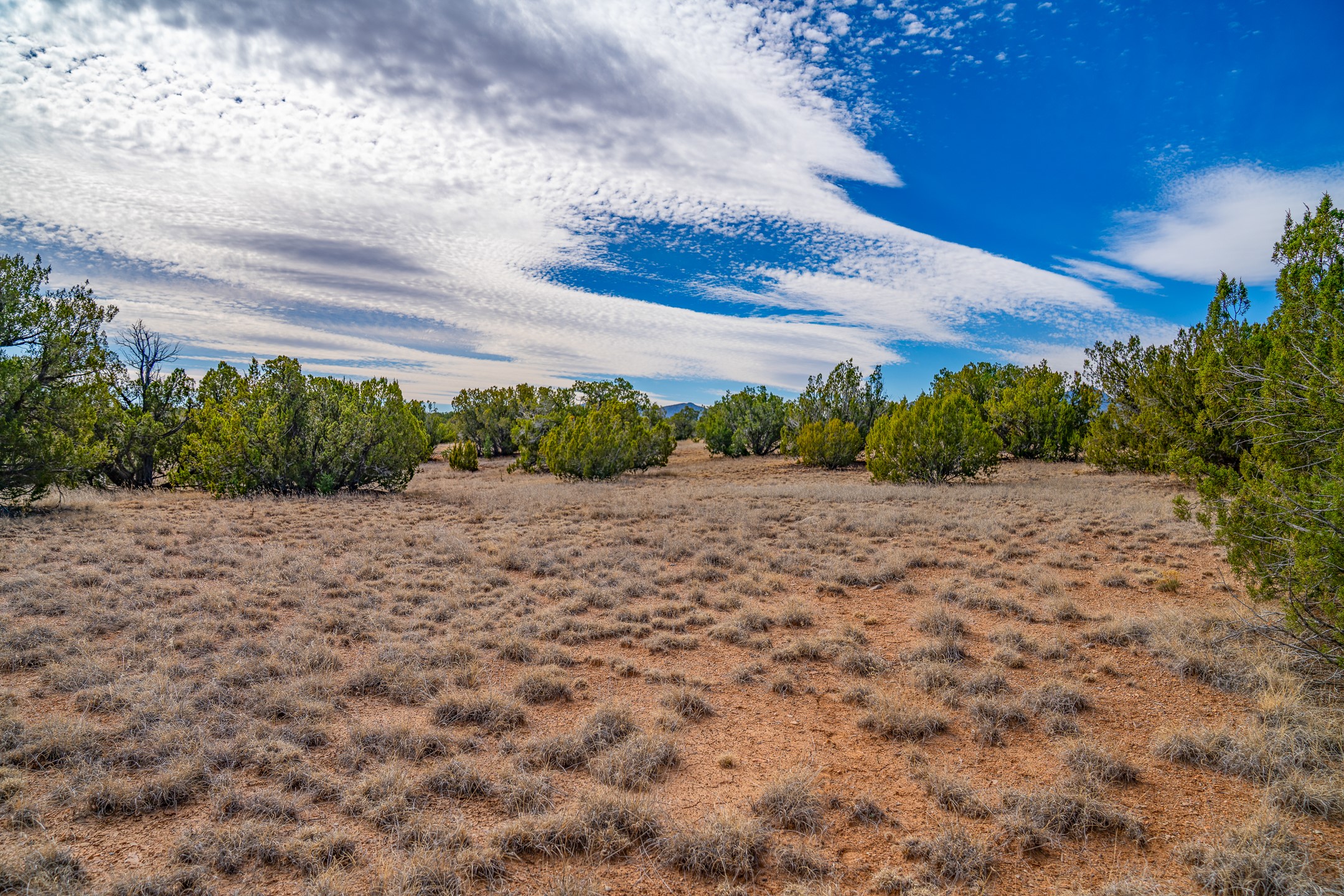 49-65 Blue Agave/grenfell Ranch Cerrillos, NM 87010 - Photo 35 of 36