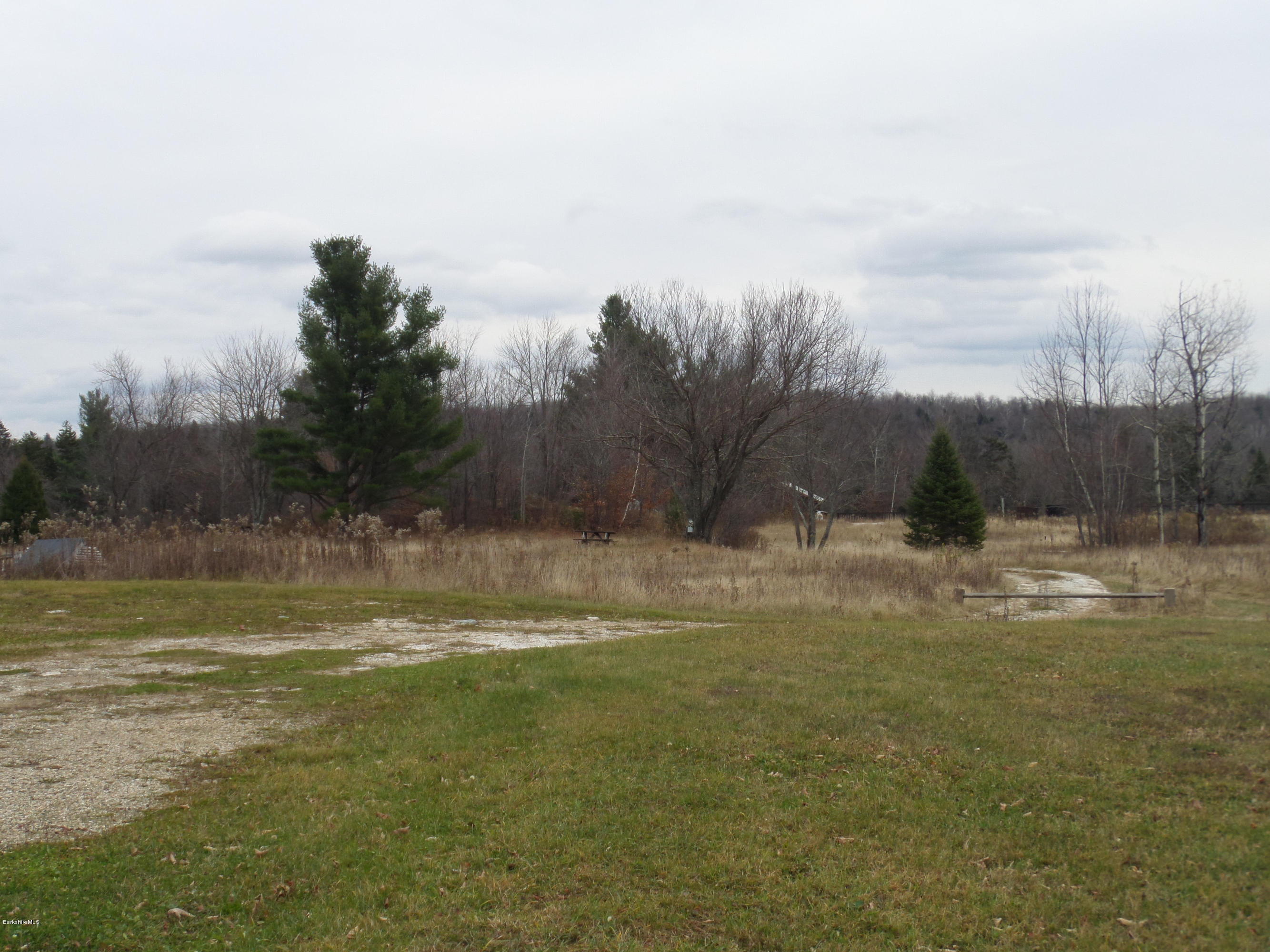 547 Loop Road Savoy, MA 01256 - Photo 3 of 13 a view of large trees with a yard
