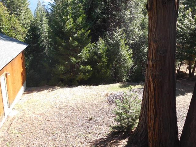812 Timber Ridge Road Lake Almanor, CA 96137 - Photo 8 of 20