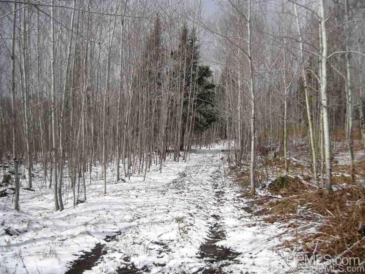 3475 Rd Iron River Iron River, MI 49935 - Photo 14 of 15