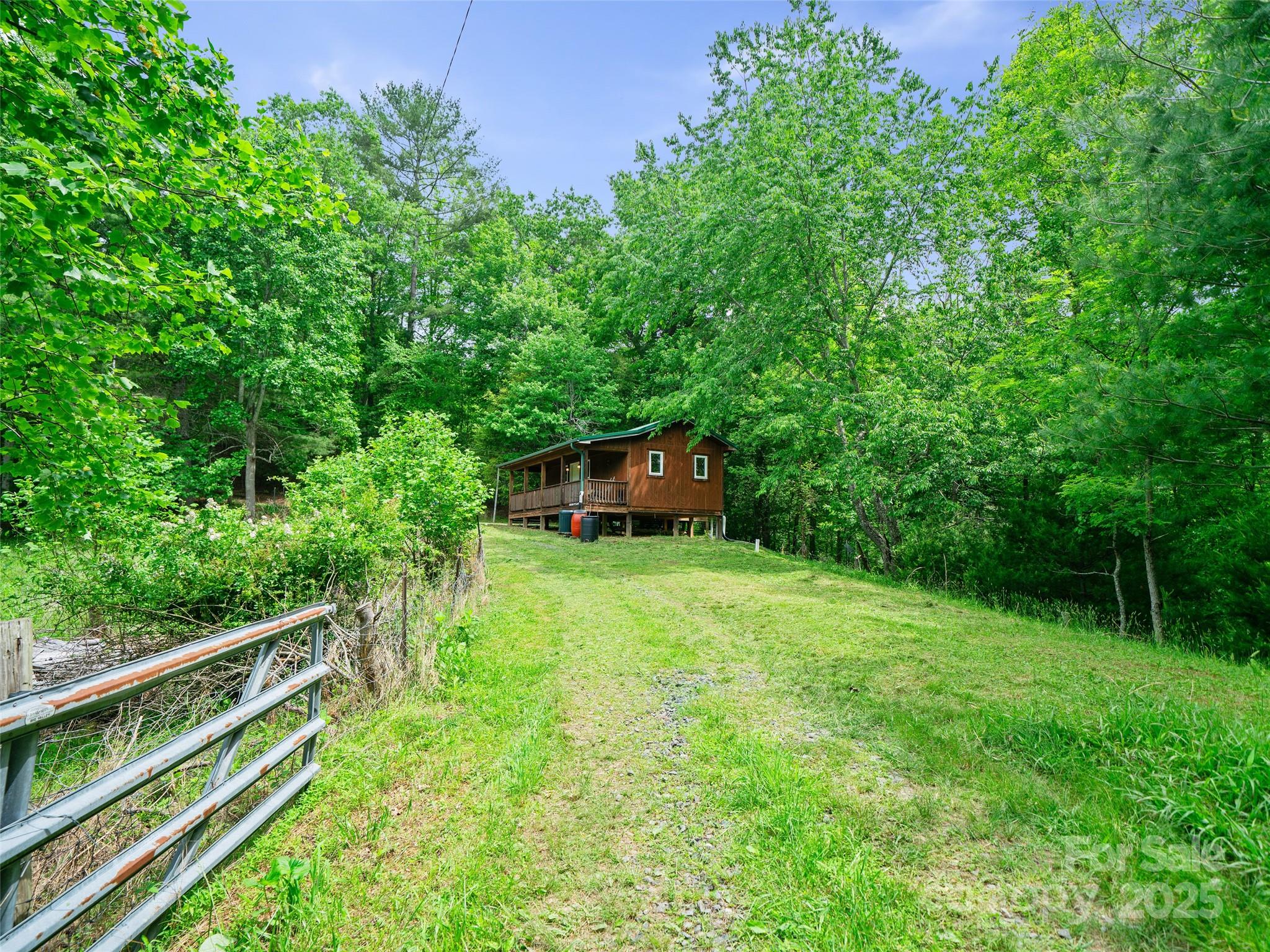 289 Bailey Settlement Road Green Mountain, NC 28740 - Photo 16 of 21 a backyard of a house with trees and plants