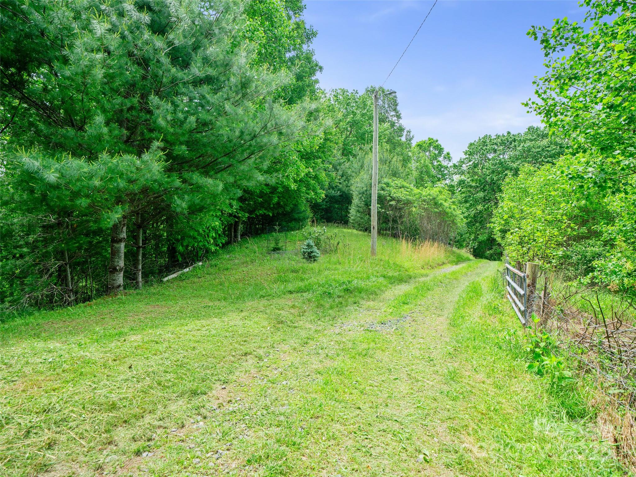 289 Bailey Settlement Road Green Mountain, NC 28740 - Photo 17 of 21 a view of a big yard with large trees and plants