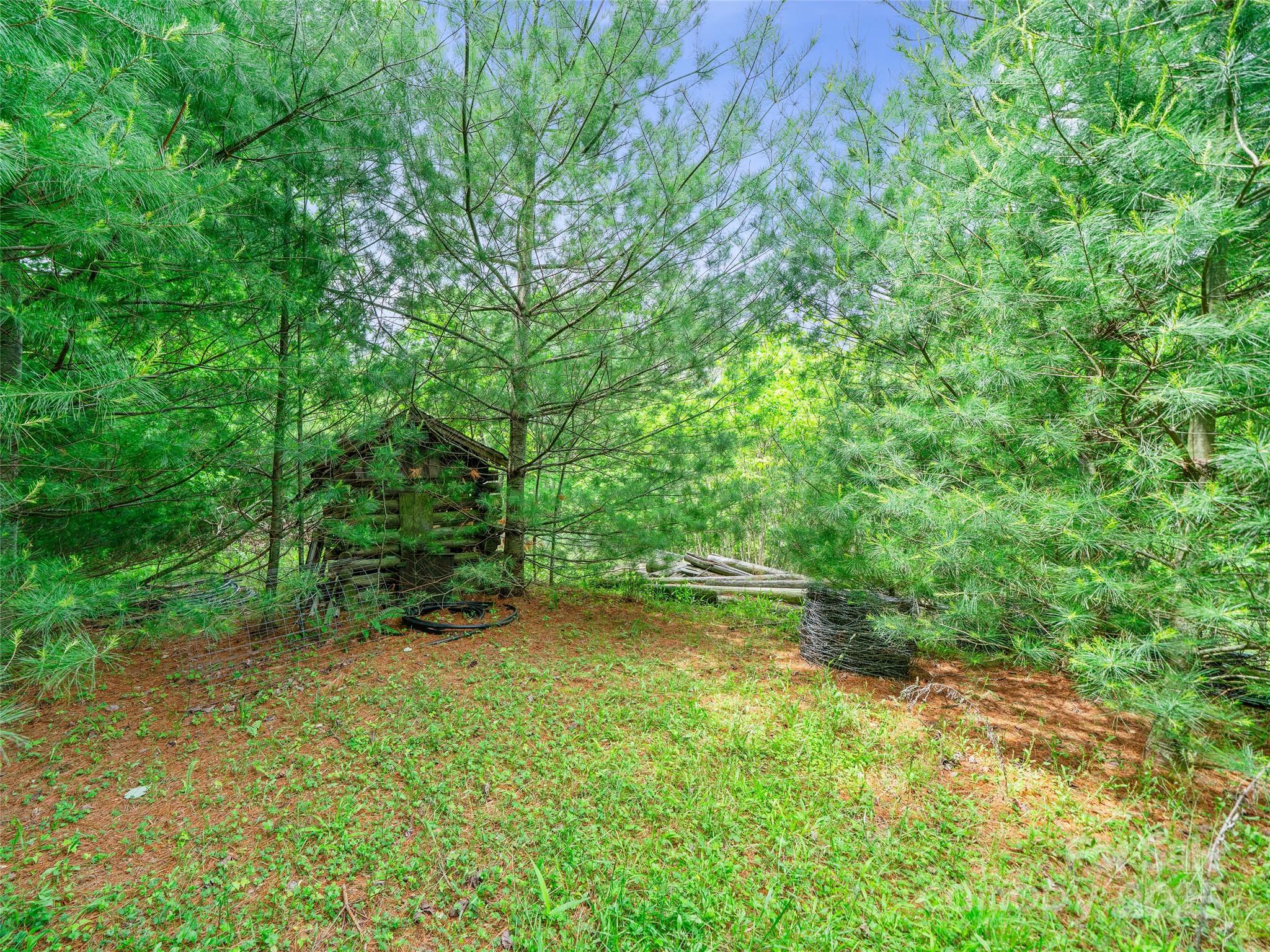 289 Bailey Settlement Road Green Mountain, NC 28740 - Photo 18 of 21 a view of a green field with lots of bushes