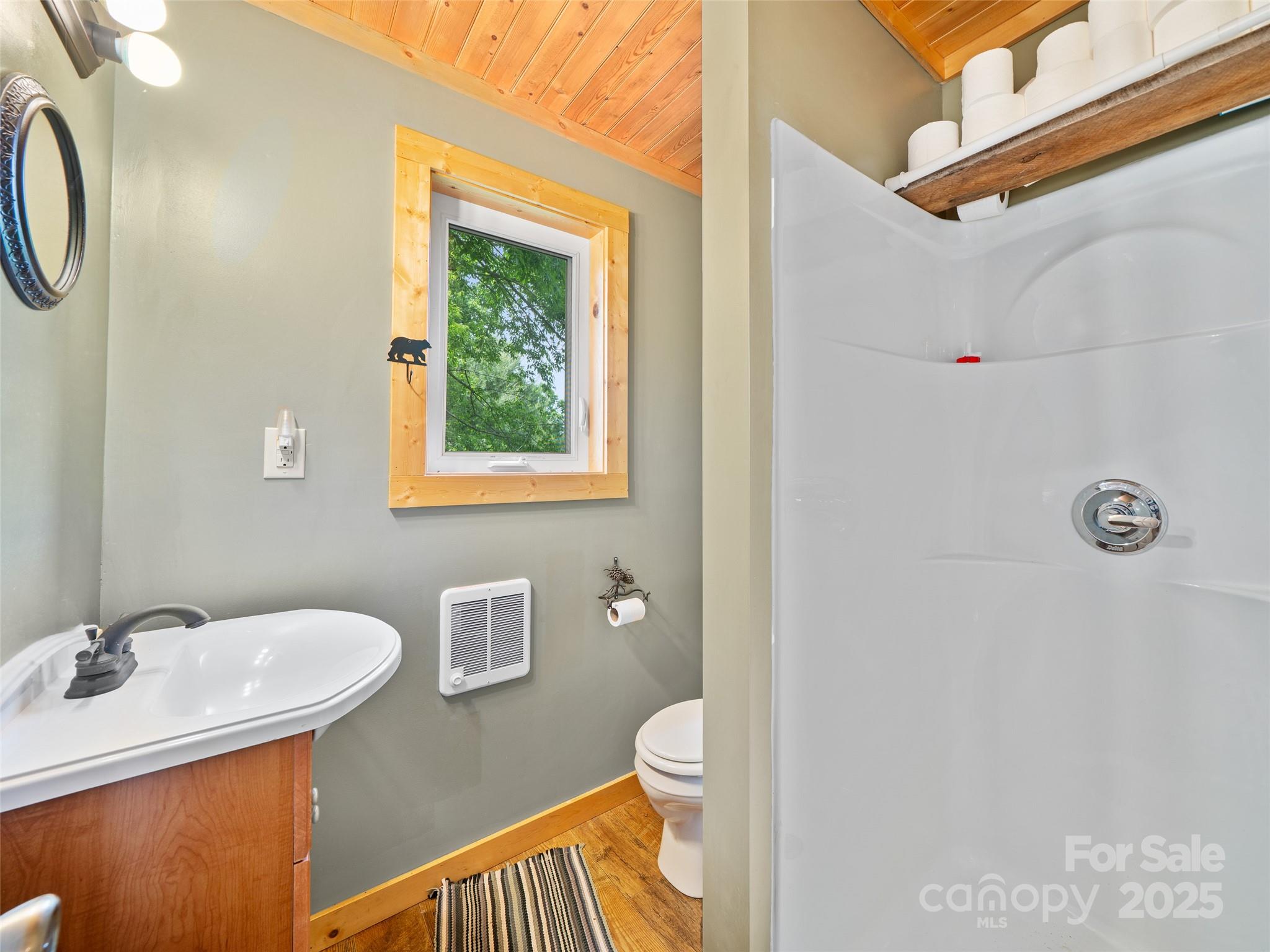 289 Bailey Settlement Road Green Mountain, NC 28740 - Photo 8 of 21 a bathroom with a sink a toilet and a mirror