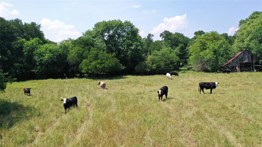 10948 Fm 898 Whitewright, TX 75491 - Photo 15 of 39