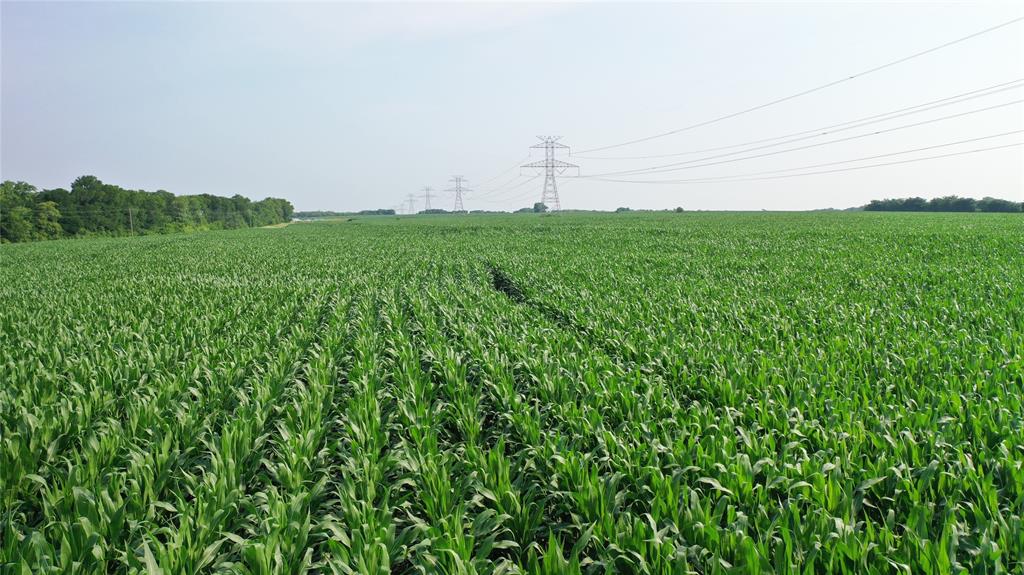 10948 Fm 898 Whitewright, TX 75491 - Photo 21 of 39 a view of a lush green space with sea