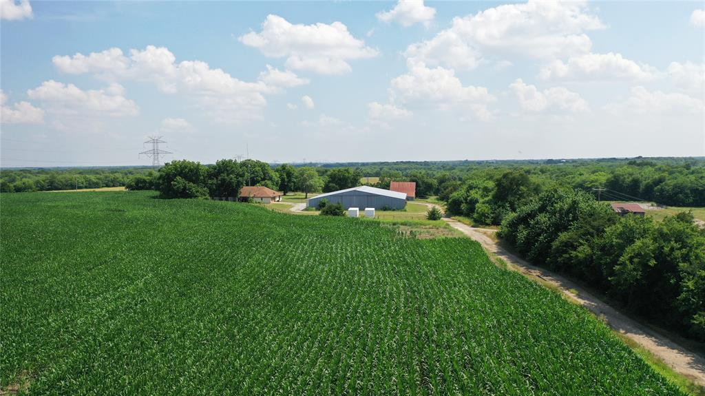 10948 Fm 898 Whitewright, TX 75491 - Photo 4 of 39 a view of a garden and yard