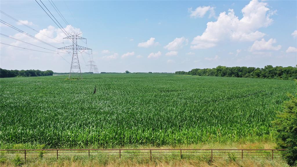 10948 Fm 898 Whitewright, TX 75491 - Photo 5 of 39 a view of a big yard