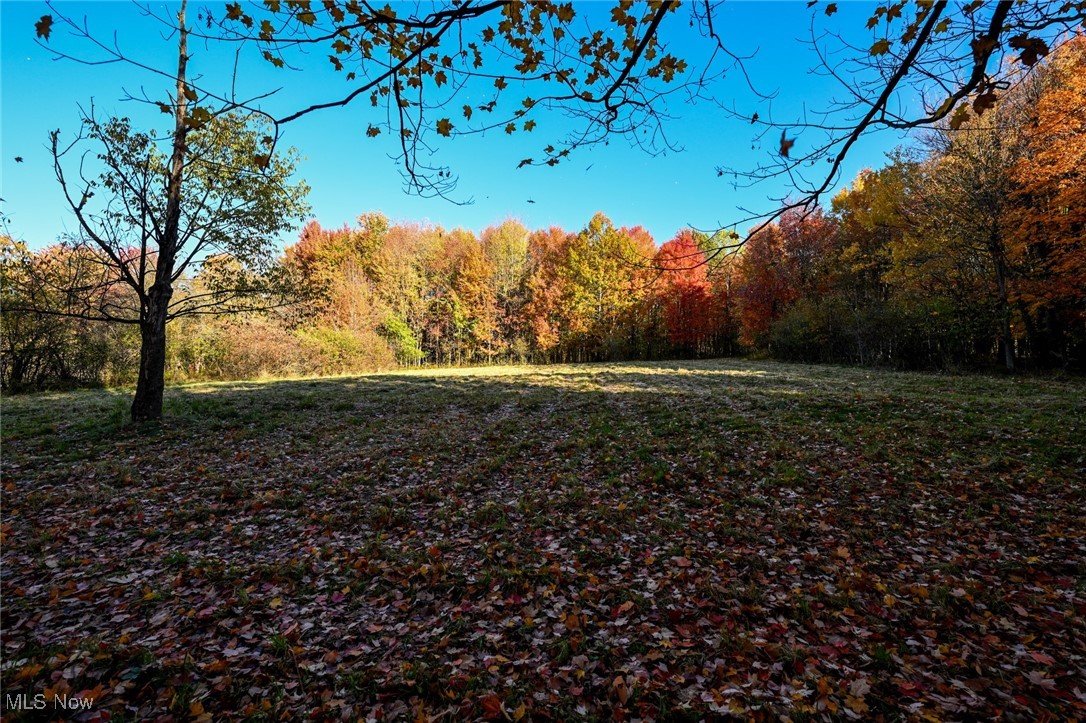 30875 Cannon Road Solon, OH 44139 - Photo 13 of 48 Back pasture