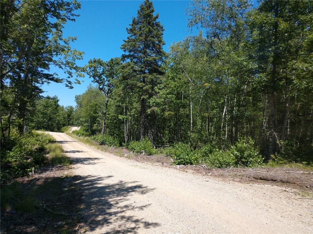 L50 Salmon Road Cherryfield, ME 04622 - Photo 8 of 11 Photo