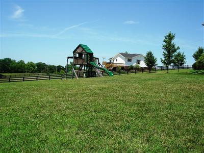 524 Big Stoner Road Winchester, KY 40391 - Photo 19 of 69 Playset in backyard area...