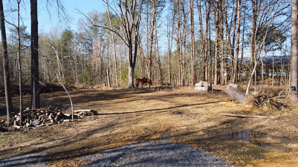 274 Bowater Road Delano, TN 37325 - Photo 8 of 18 Gallery Image 8