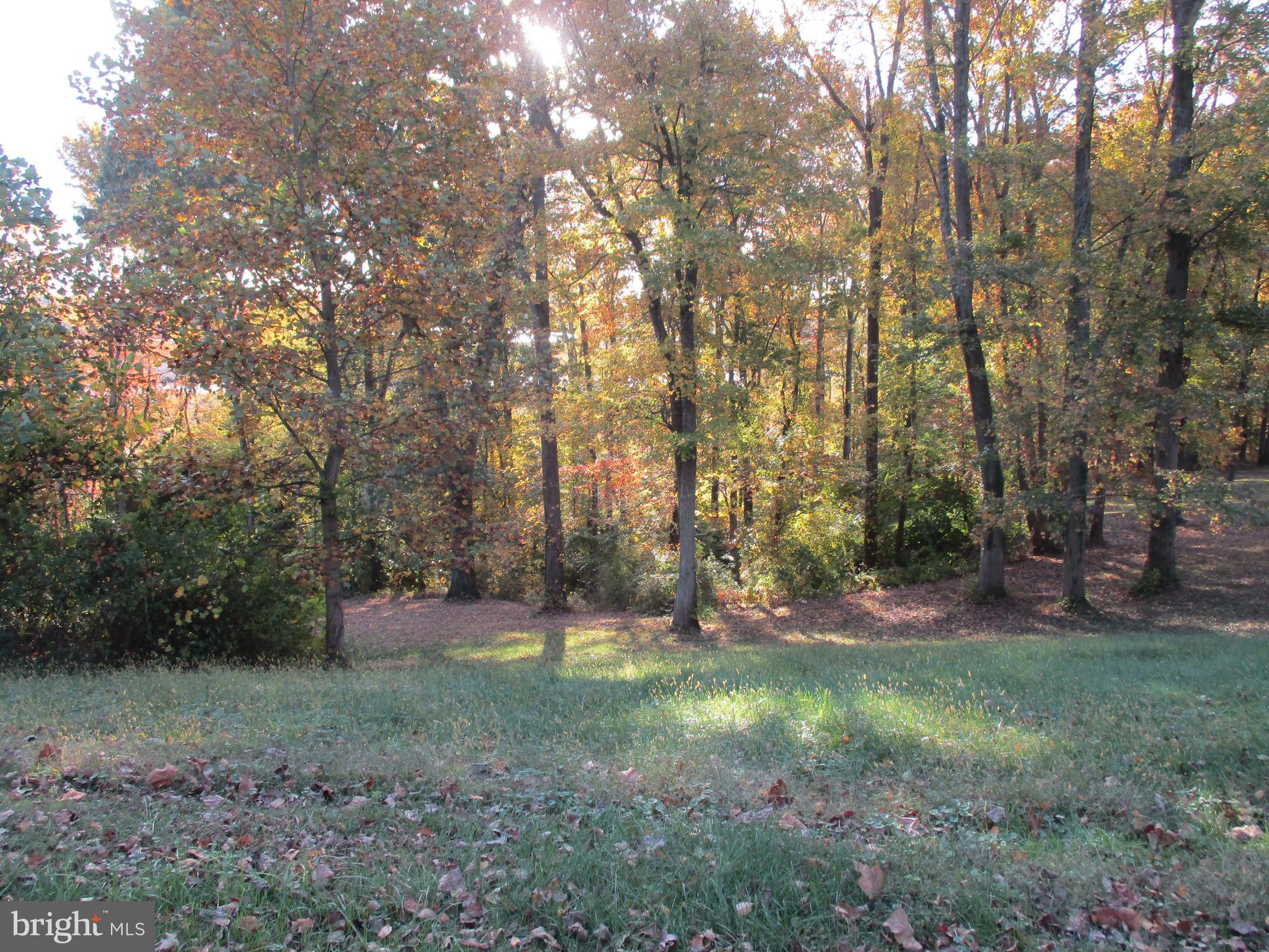 Beautiful View Lot Oldfield Point Road Elkton, MD 21921 - Photo 21 of 44 a view of outdoor space with deck and yard