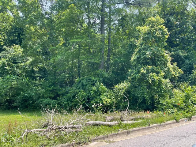 a view of a yard with a tree