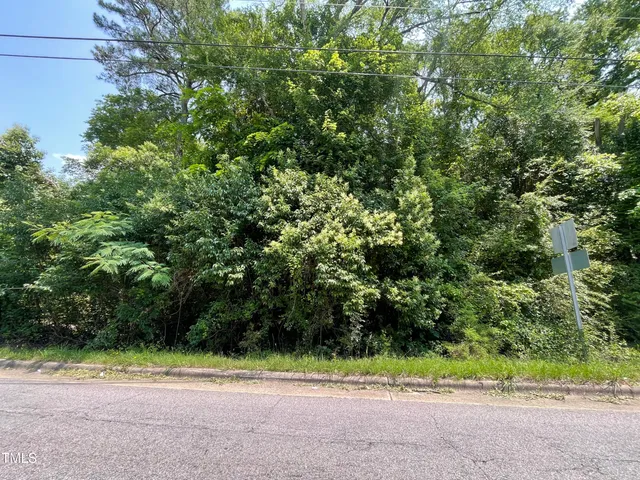 a view of a yard with plants and a bench