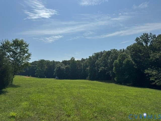 1927 Five Forks Road Pamplin, VA 23958 - Photo 7 of 42 Expansive grass field bordered by mature deciduous