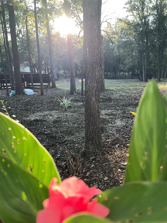 9220 Apache Trail Flower Mound, TX 75022 - Photo 15 of 21