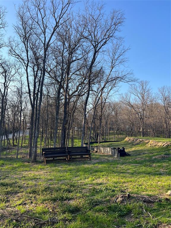 9220 Apache Trail Flower Mound, TX 75022 - Photo 19 of 21