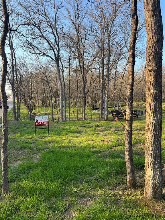 9220 Apache Trail Flower Mound, TX 75022 - Photo 21 of 21