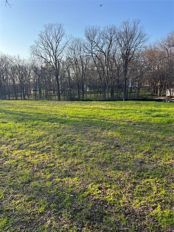 9220 Apache Trail Flower Mound, TX 75022 - Photo 3 of 21