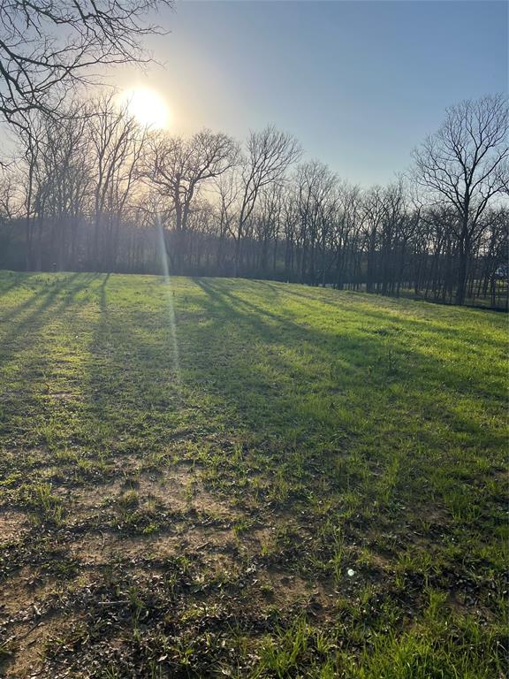 9220 Apache Trail Flower Mound, TX 75022 - Photo 4 of 21