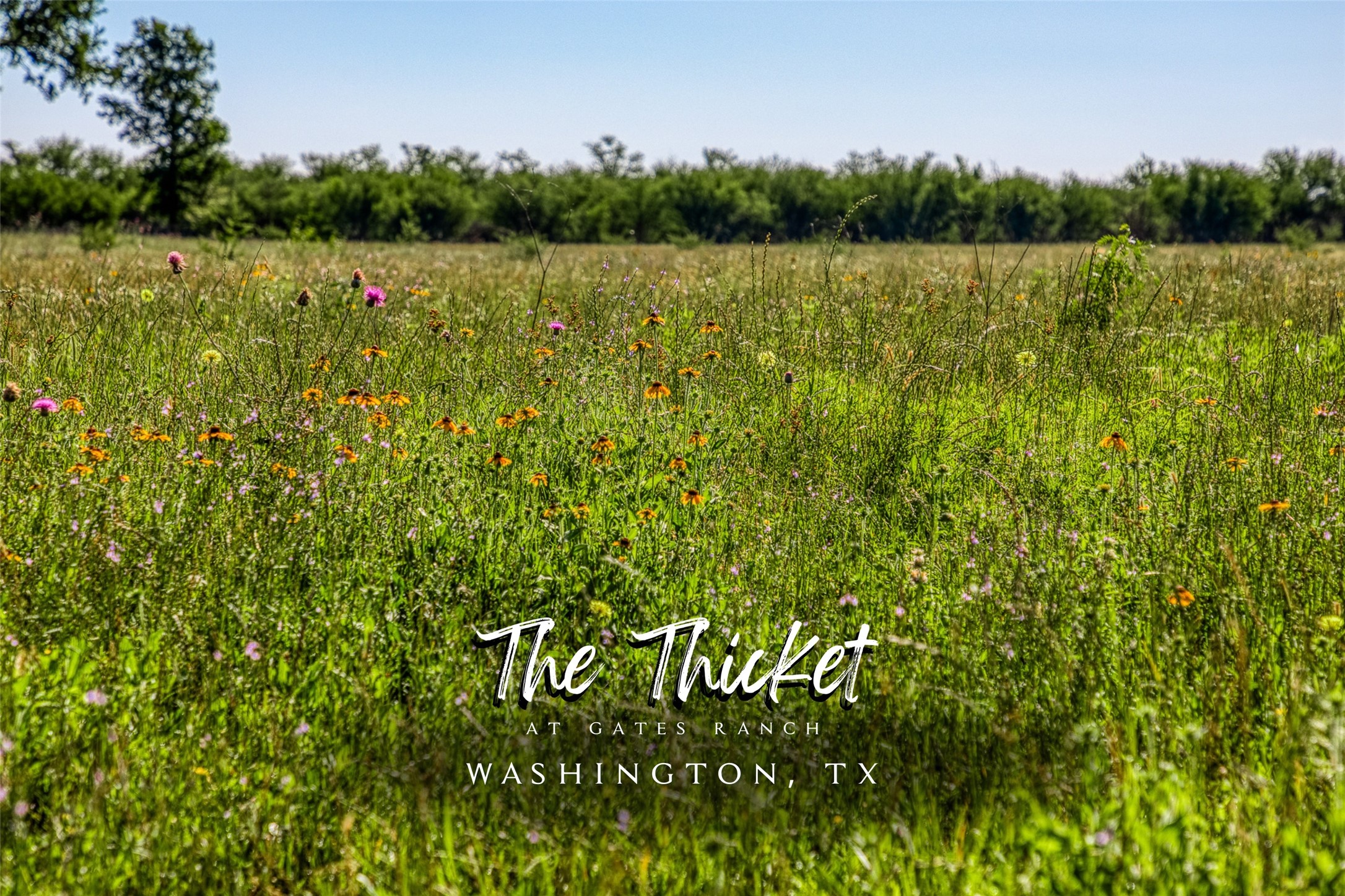 a view of lake with green space
