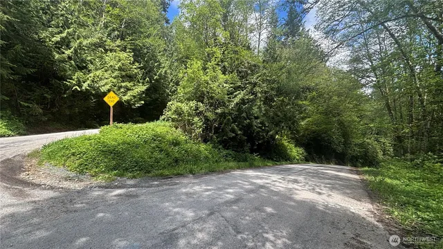 a view of a yard with plants and trees