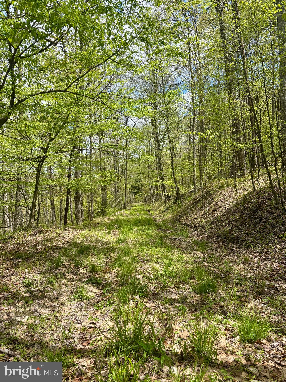 2800 Center Hill Road Brookville, PA 15825 - Photo 23 of 34 More trails..