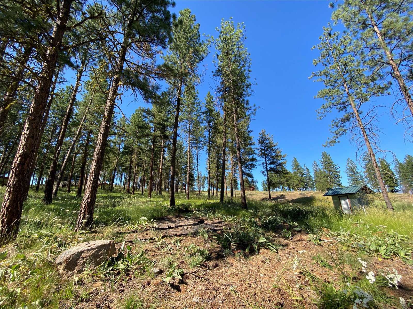 116 Nighthawk Ridge Road Winthrop, WA 98862 - Photo 12 of 38 Gallery Image 12
