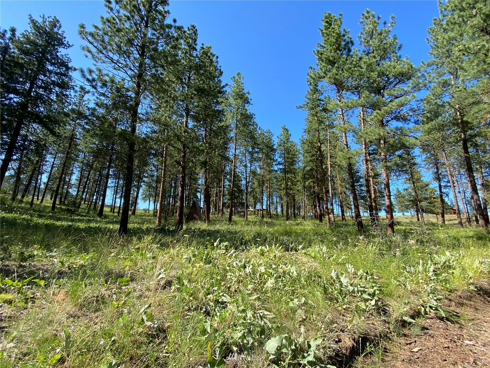 116 Nighthawk Ridge Road Winthrop, WA 98862 - Photo 13 of 38 Gallery Image 13