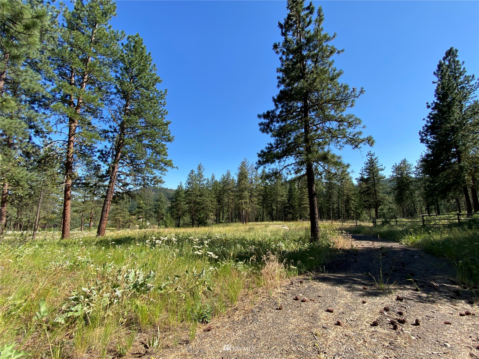 116 Nighthawk Ridge Road Winthrop, WA 98862 - Photo 14 of 38 Gallery Image 14