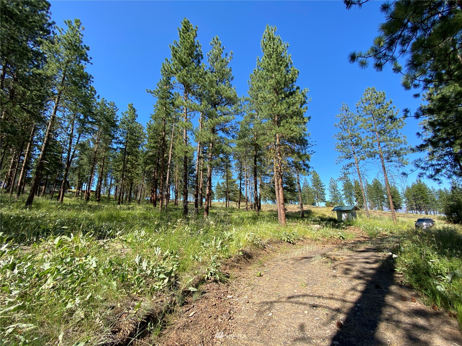 116 Nighthawk Ridge Road Winthrop, WA 98862 - Photo 15 of 38 Gallery Image 15
