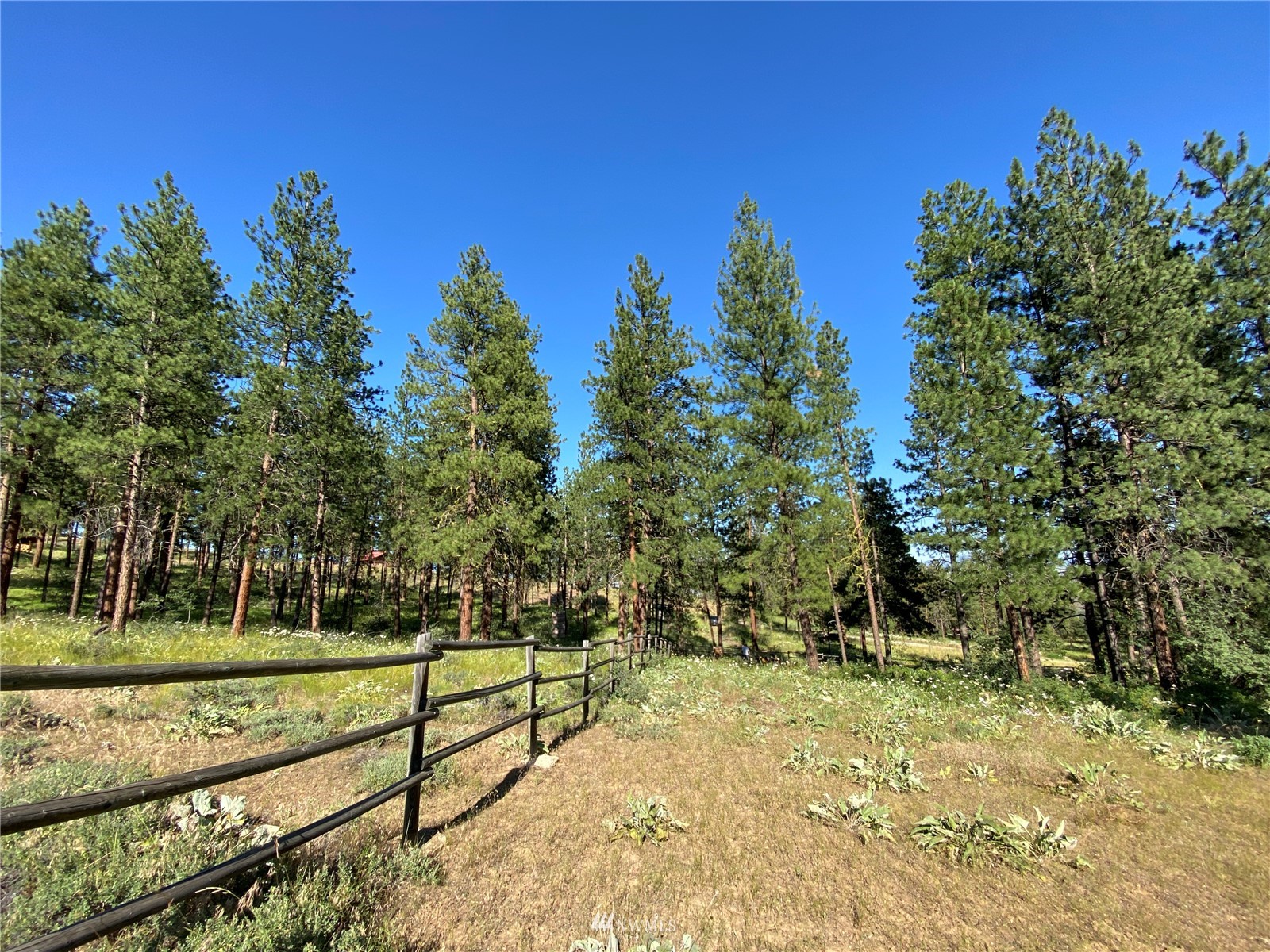 116 Nighthawk Ridge Road Winthrop, WA 98862 - Photo 22 of 38 Gallery Image 22