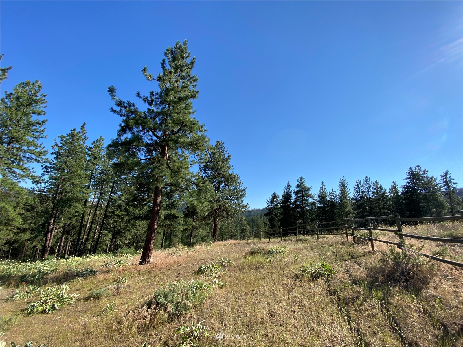 116 Nighthawk Ridge Road Winthrop, WA 98862 - Photo 23 of 38 Gallery Image 23